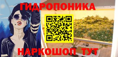 spice Новозыбков