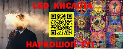 гидра Новодвинск