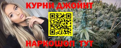 гидра Новодвинск