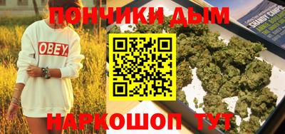 гидра Новодвинск