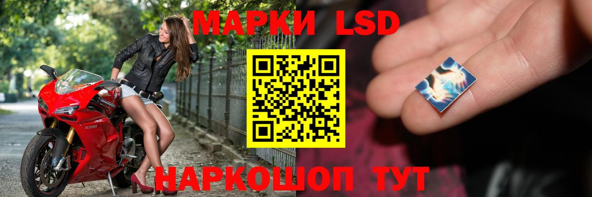 blacksprut как войти  Лсд 25 экстази ecstasy  Волгоград  Вход с VPN  ЛСД экстази ecstasy 
