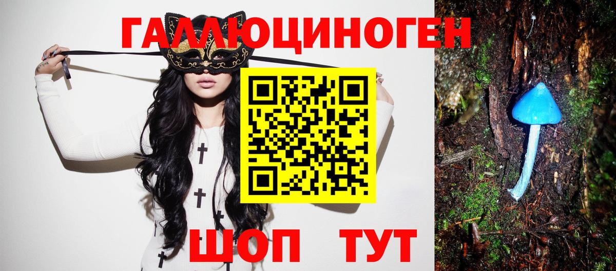 Галлюциногенные грибы мухоморы  дарнет шоп  Волгоград  Вход с VPN  Галлюциногенные грибы GOLDEN TEACHER 